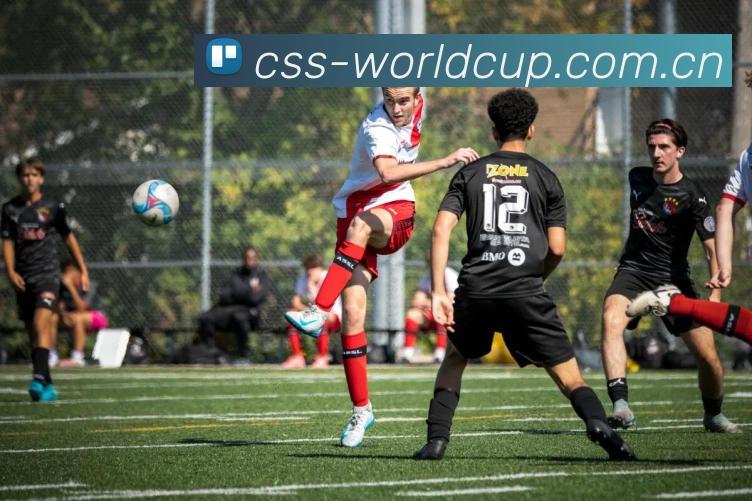 2026世界杯 App多端展示图 - 2026 FIFA World Cup世界杯赛事资讯官网